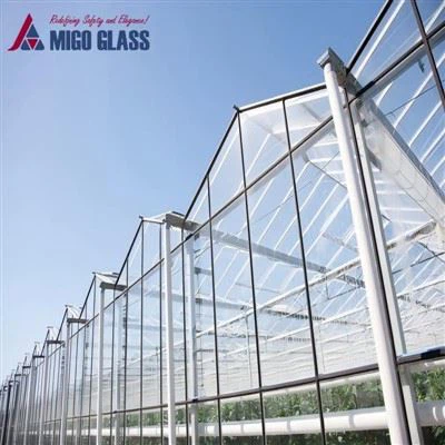 Kertészeti középvas diffúz edzett üveg